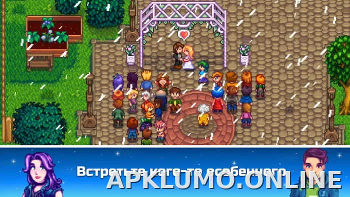Stardew Valley скриншот 5
