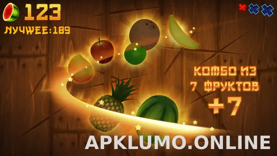 Fruit Ninja скриншот 1