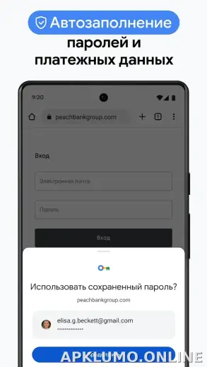 Google Chrome скриншот 6