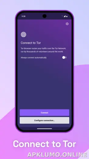 Tor Browser скриншот 1