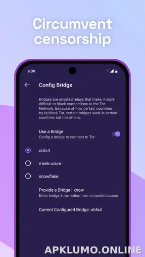 Tor Browser скриншот 2